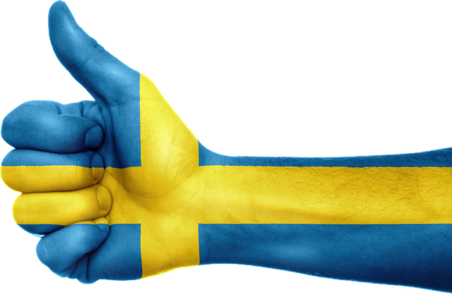 flag of Sweden photo