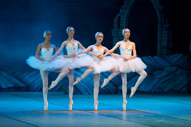 swan balet photo