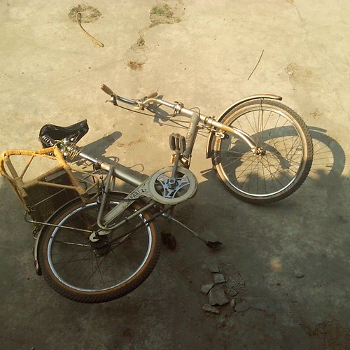 bicycle safari photo