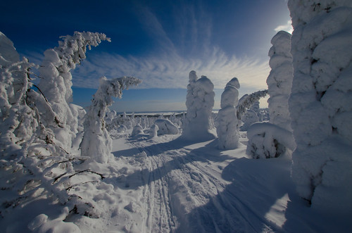 Suomi Finland Lappi photo